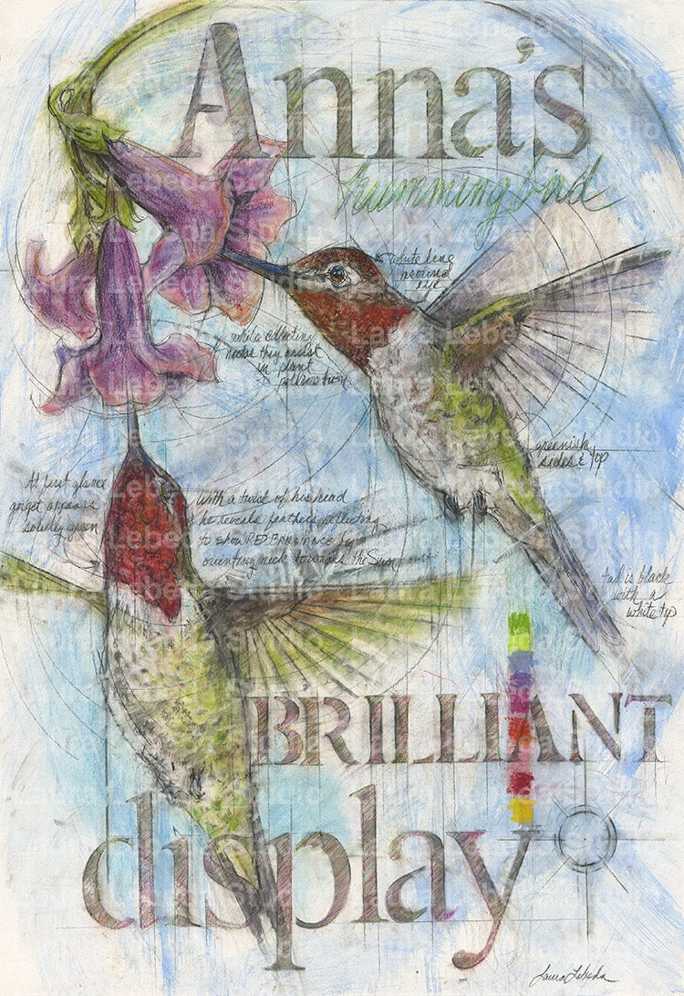 "Brilliant Display" Hummingbirds Giclée Print 18" x 24"