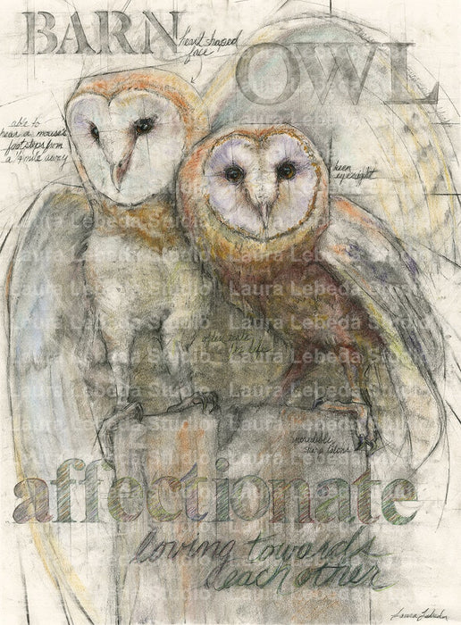 "Kindred Spirits" Barn Owls 24 x 26"