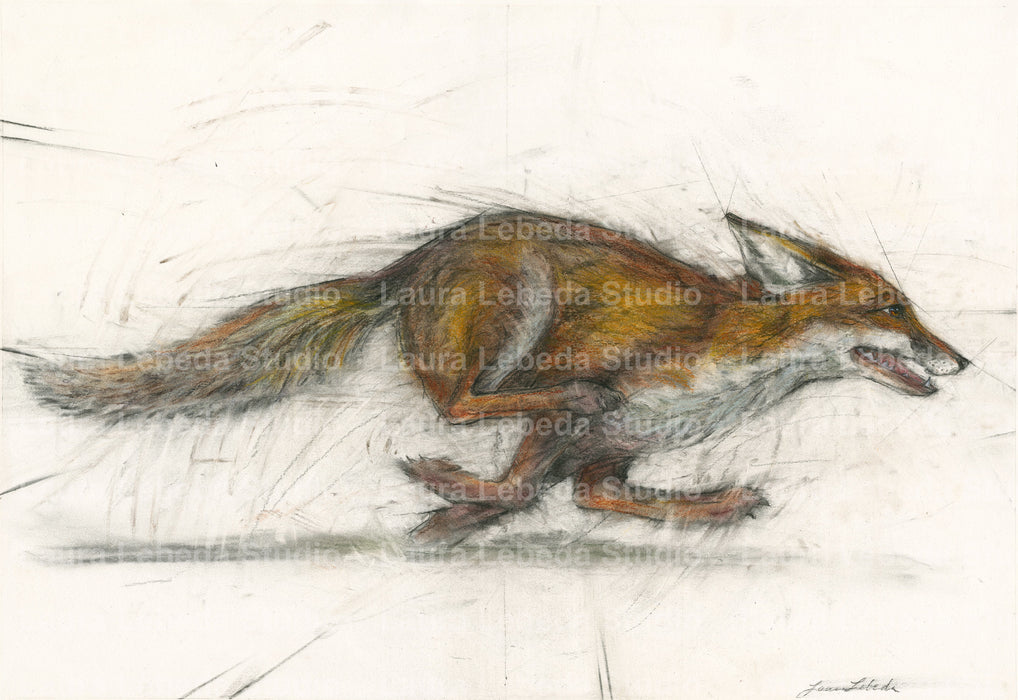 "Carpe Diem" Red Fox, 34"x26" SOLD