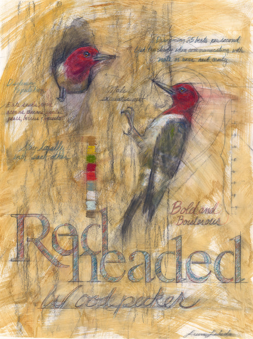 "Redheaded Woodpeckers" 26"x34" SOLD