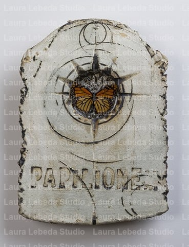 Papilionem