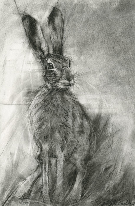 "Ready" Hare 19"x26" SOLD