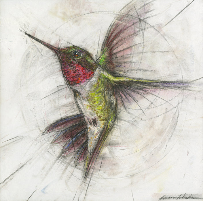 Hummingbird 07 - Print On Wood