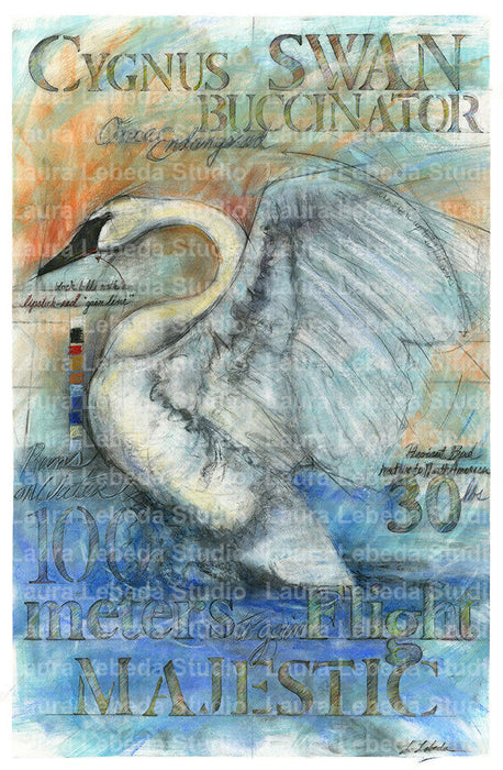 "Majestic Swan" 29"x42"
