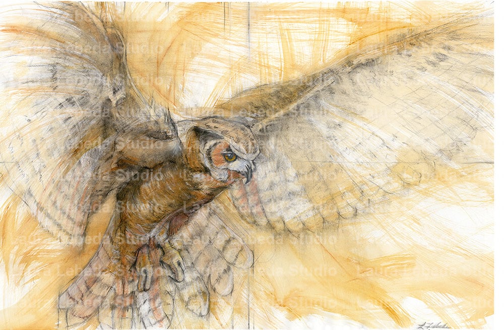 Great Horned Owl - Giclée print, Various Sizes