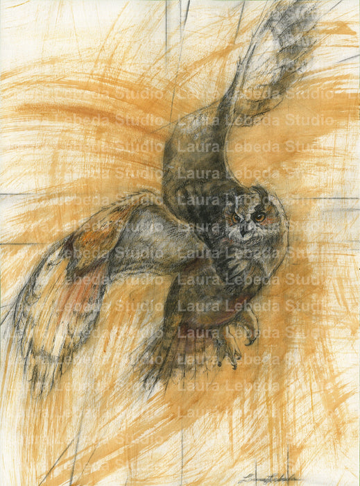 Owl - 26"x34" SOLD