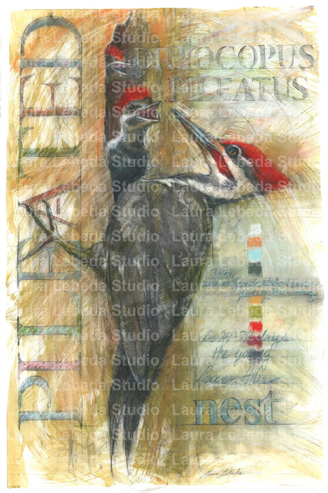 Pileated Woodpecker and hatchlings - Giclée print, Various Sizes