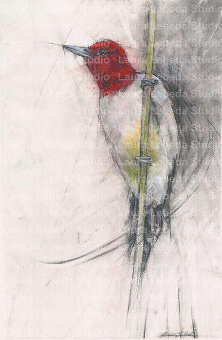"Redheaded Beauty" Woodpecker 19"x26" SOLD