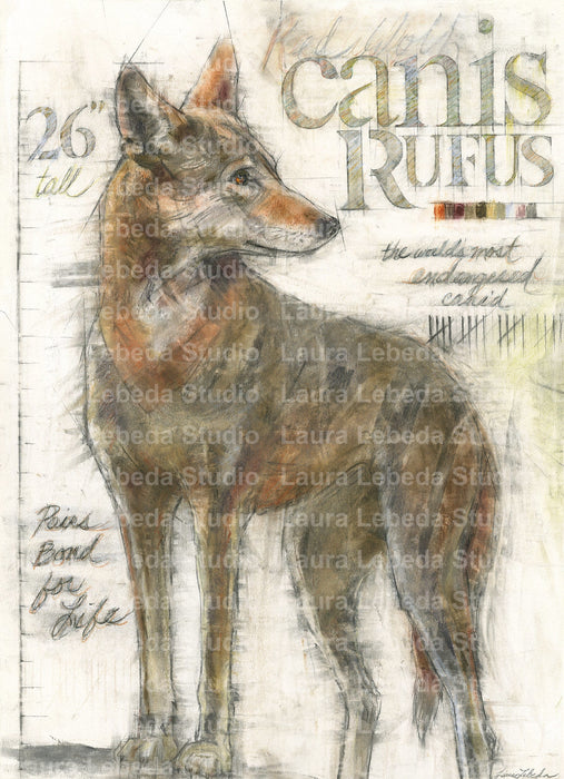 "Wisdom" Red Wolf, 26"x34"