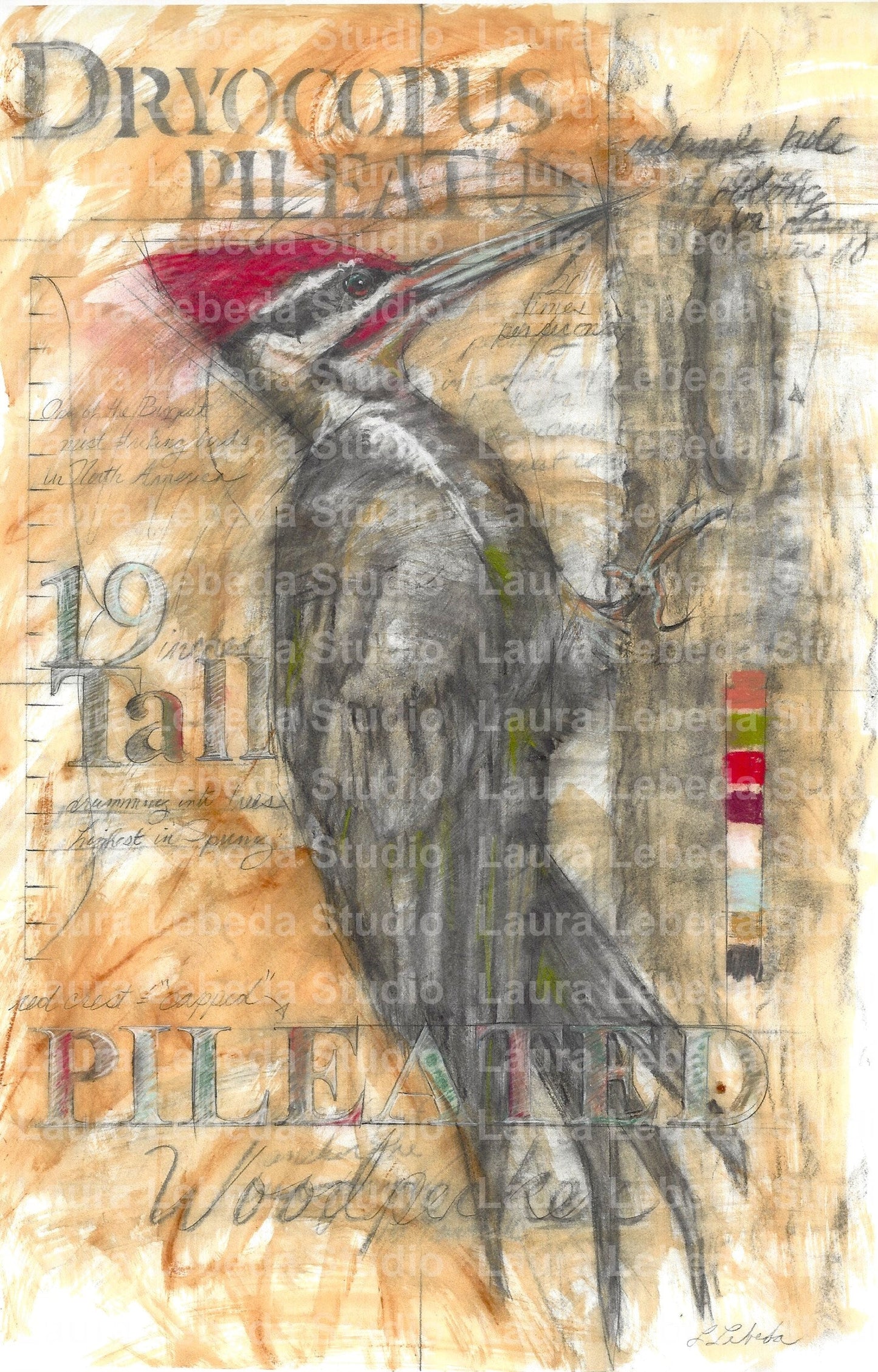 "Pileated Woodpecker" - Giclée Print
