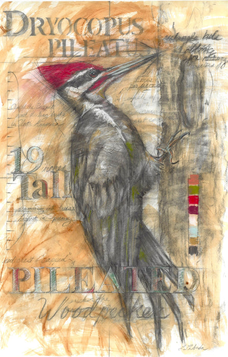Pileated Woodpecker - Giclée print, Various Sizes