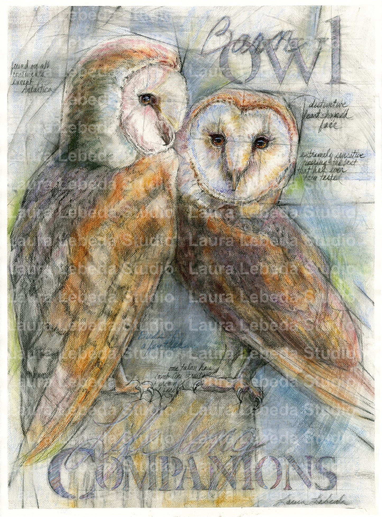 "Birds Of A Feather" - Barn Owls, 26" x 34"