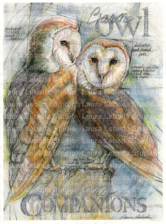 "Birds Of A Feather" Barn Owls, Giclée Print 18" x 24"