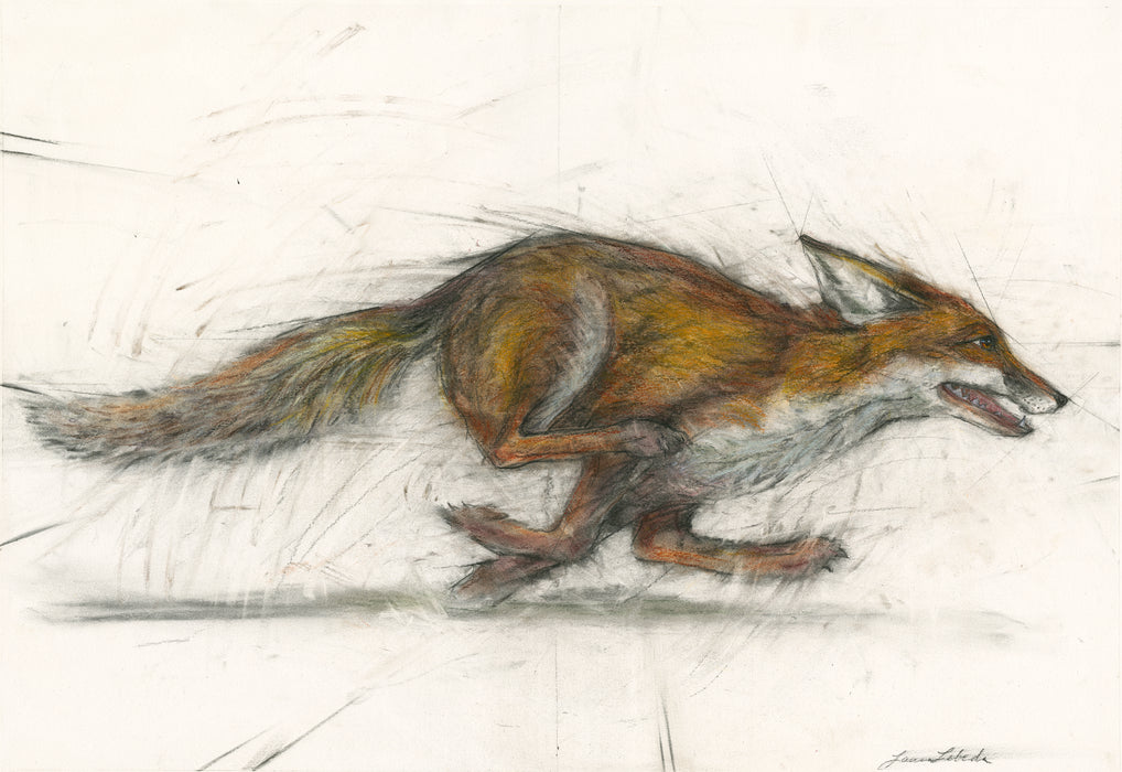 "Carpe Diem" Red Fox, 34"x26"