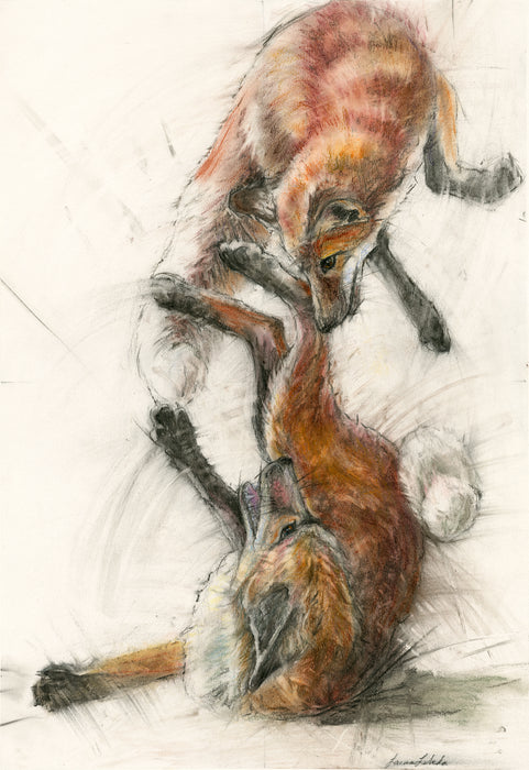 "Frolicking Foxes" - Two Foxes - 26" x 34" SOLD