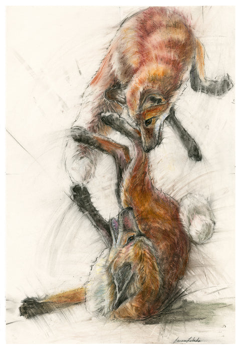 "Frolicking Foxes" Fox Print On Paper