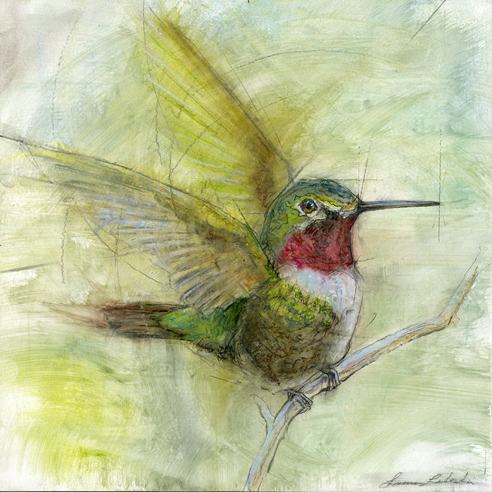 Hummingbird 001 - Print On Paper 10" x 10"