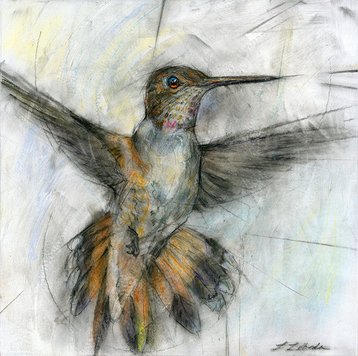 Hummingbird 002 - Print On Paper 10" x 10"