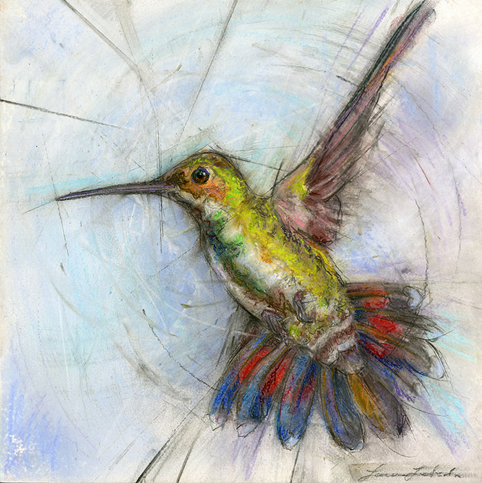 Hummingbird 004 - Print On Paper 10" x 10"