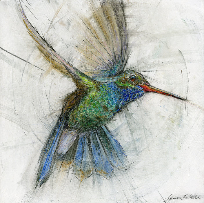 Hummingbird 005 - Print On Paper 10" x 10"