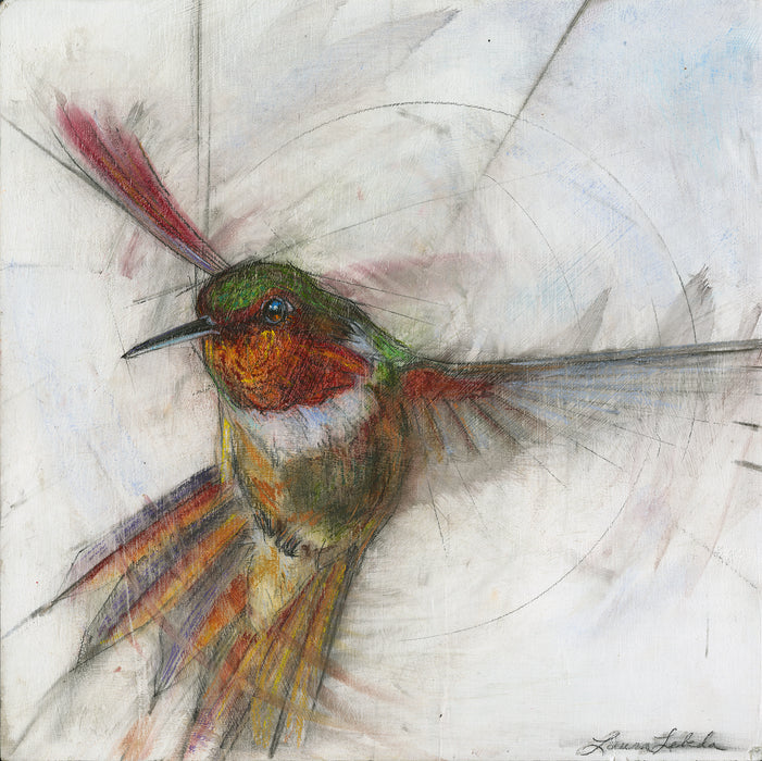 Hummingbird 006 - Print On Paper 10" x 10"