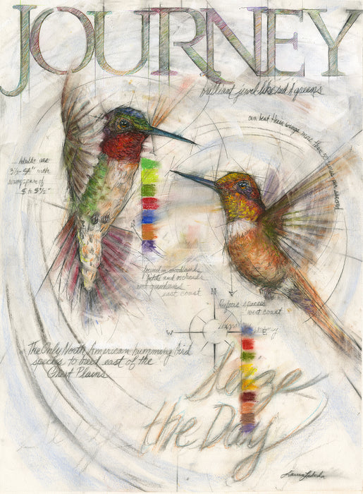 "Journey" Hummingbirds