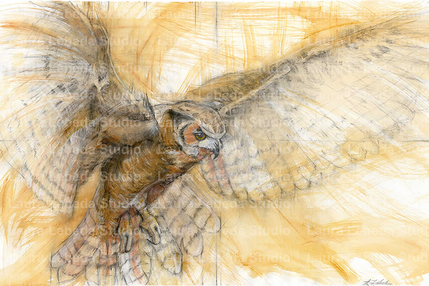 Owl - giclee print