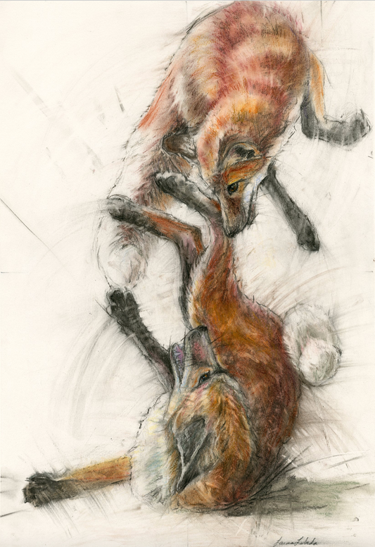 "Frolicking Foxes" Red Foxes 26" x 34" SOLD