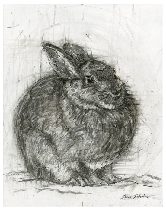 "Contentment" Rabbit - Print On Paper