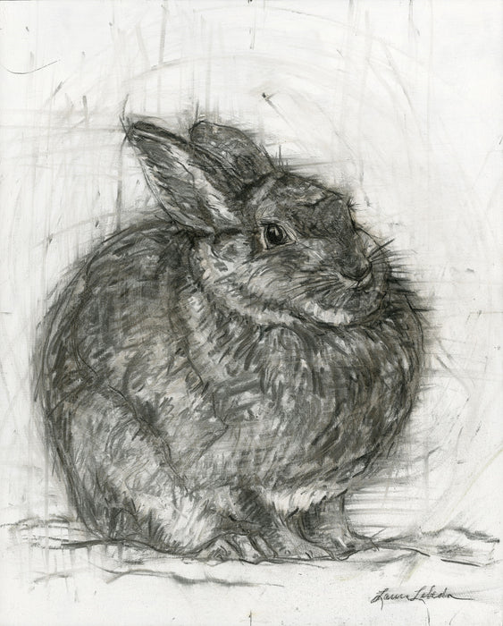 "Contentment" Cottontail drawing 20" x 16" x1 1/2" SOLD