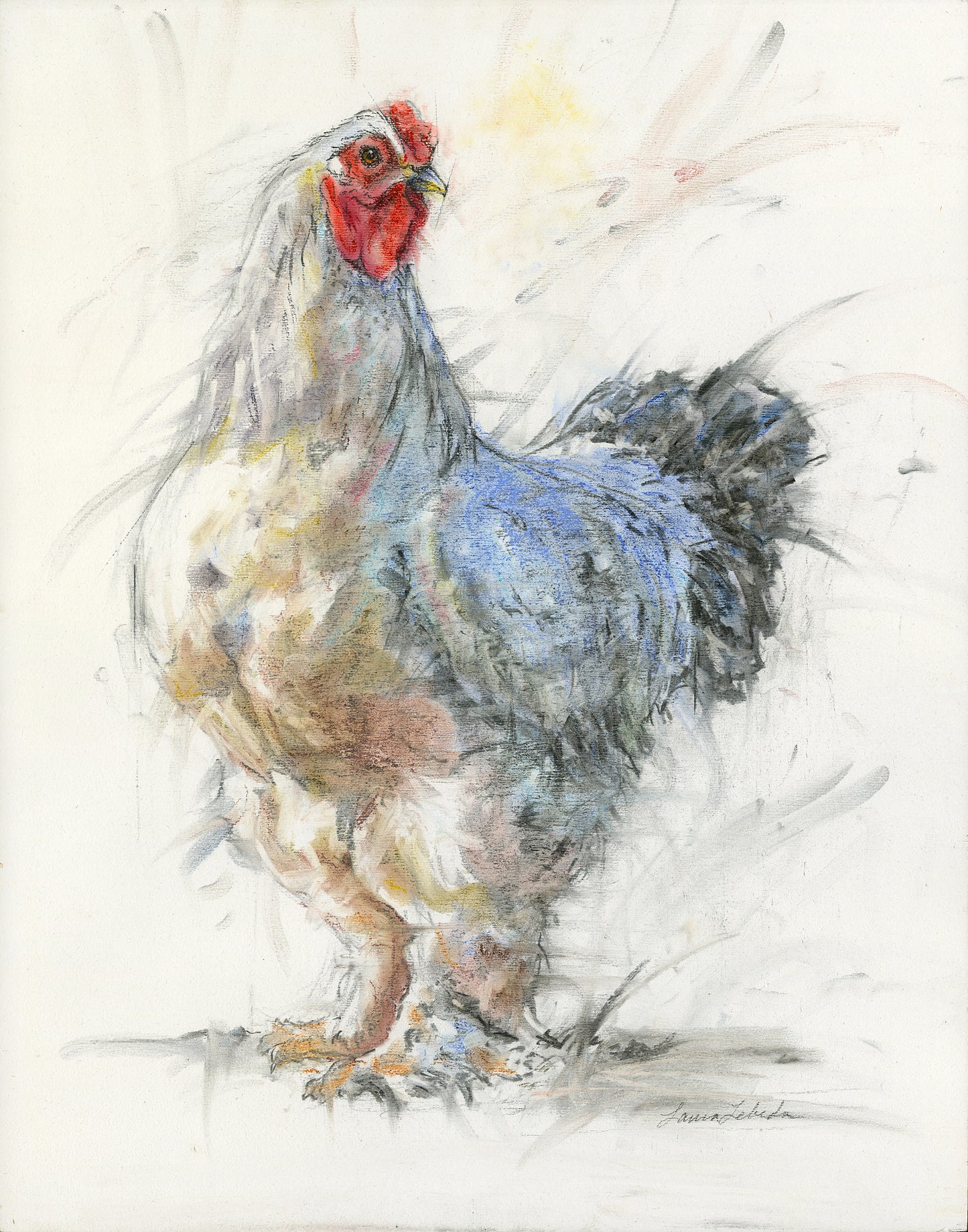 "Best In Show" 16x20 Bantam Roster