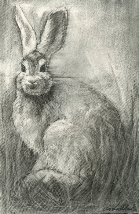 "Look" Rabbit, 19"x26" SOLD