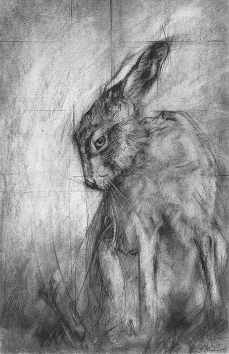 Hare - Giclée print 11"x17"