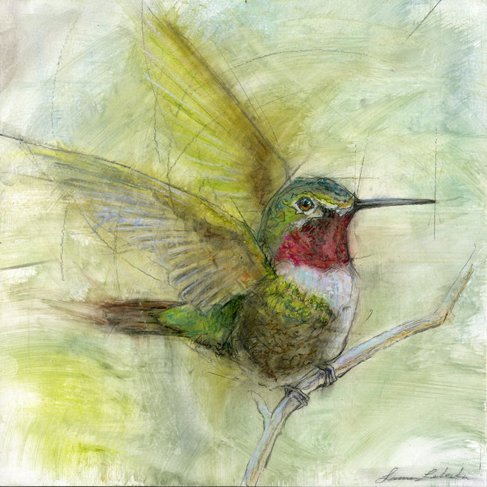 Hummingbird 001 - Giclée print 10"x10"
