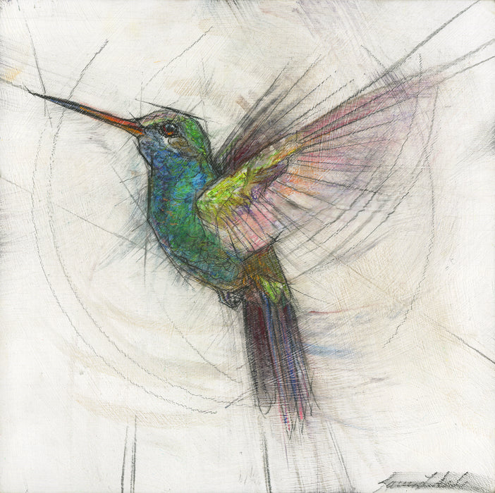 Hummingbird 08 - Print On Wood