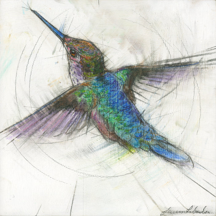 Hummingbird 11 - Print on Wood
