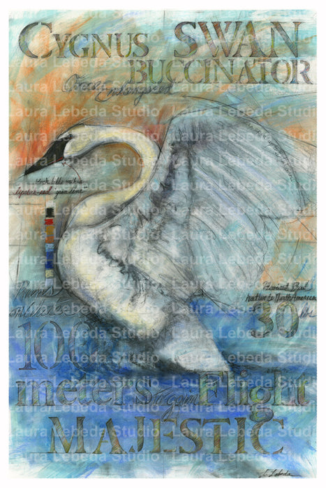 Swan - Giclée print