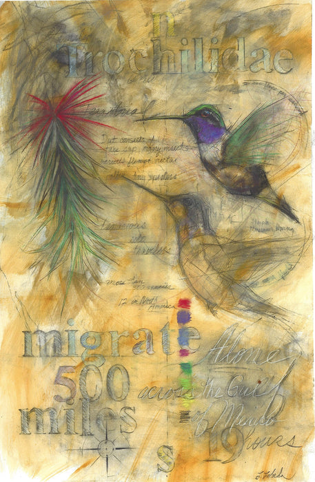 Hummingbirds Migrate - Giclée print, Various Sizes