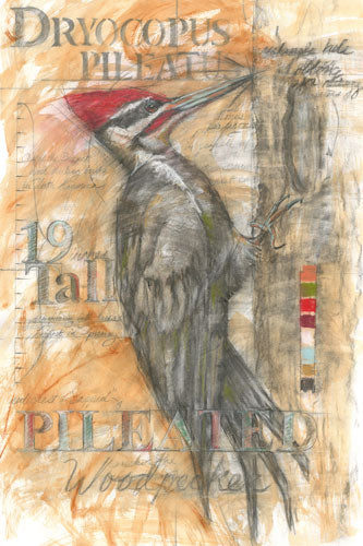 "Pileated Woodpecker" 29"x42"SOLD